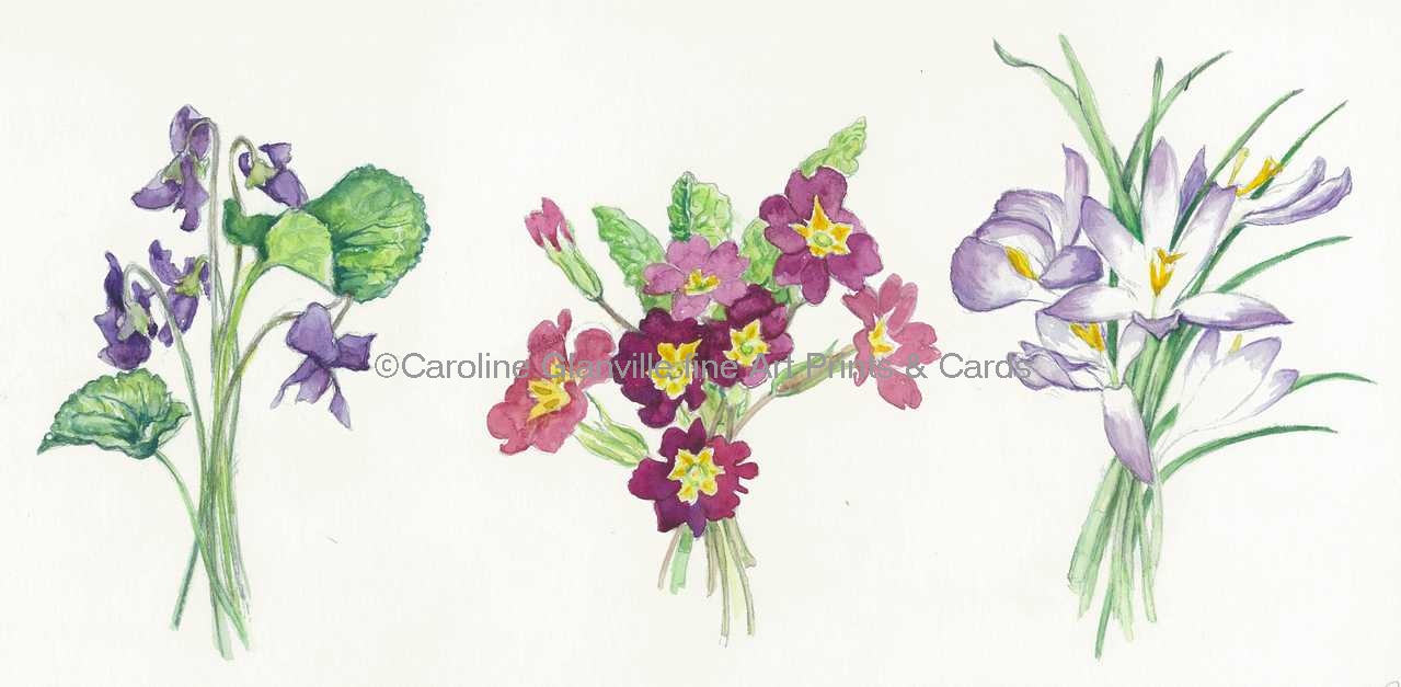 spring flower bunches, painting by Caroline Glanville 